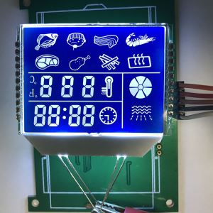 7 segment LCD display